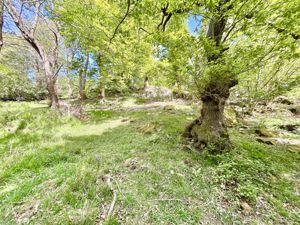 Photo 32- click for photo gallery